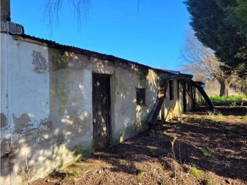 VENTA CAMPO - QUINTA DE 11 HECTAREAS EN LA POLOLA - EL BOQUERON