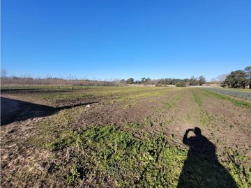 VENTA CAMPO - QUINTA DE 11 HECTAREAS EN LA POLOLA - EL BOQUERON