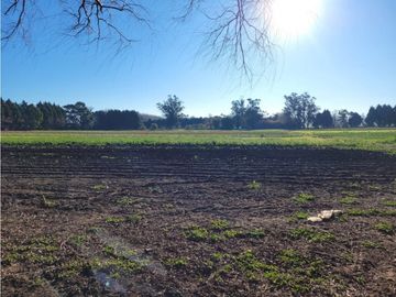 VENTA CAMPO - QUINTA DE 11 HECTAREAS EN LA POLOLA - EL BOQUERON