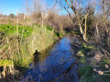 VENTA CAMPO - QUINTA DE 11 HECTAREAS EN LA POLOLA - EL BOQUERON