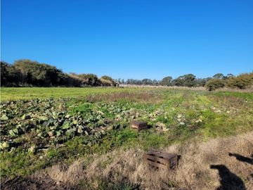 VENTA CAMPO - QUINTA DE 11 HECTAREAS EN LA POLOLA - EL BOQUERON