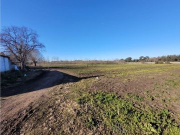 VENTA CAMPO - QUINTA DE 11 HECTAREAS EN LA POLOLA - EL BOQUERON