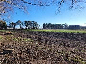 VENTA CAMPO - QUINTA DE 11 HECTAREAS EN LA POLOLA - EL BOQUERON