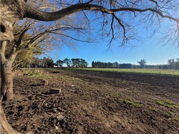 VENTA CAMPO - QUINTA DE 11 HECTAREAS EN LA POLOLA - EL BOQUERON