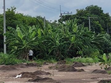Land for sale in Bueng Ka Sam, Pathum Thani