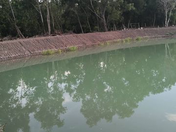 Land for sale in Bueng Ka Sam, Pathum Thani