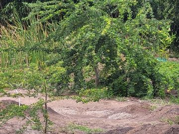 Land for sale in Bueng Ka Sam, Pathum Thani