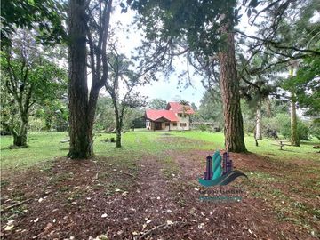 VENDO CABAÑA EN POTRERILLOS ARRIBA