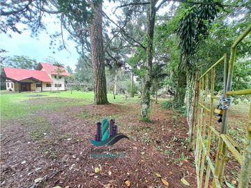 VENDO CABAÑA EN POTRERILLOS ARRIBA