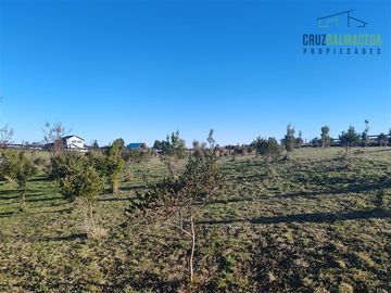 Casa en Venta en Condominio Senderos del Bosque