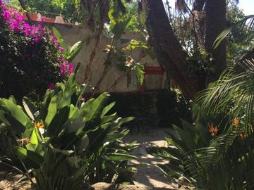 Departamento  en Jacarandas Cuernavaca - SOR-234-De*