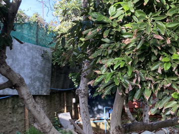 Casa en Venta en Quebrada de Alvarado