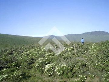 Parcela en Venta en Talinay