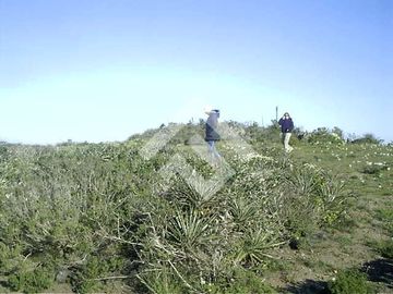 Parcela en Venta en Talinay