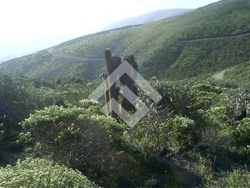 Parcela en Venta en Talinay