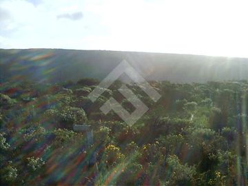 Sitio en Venta en Talinay