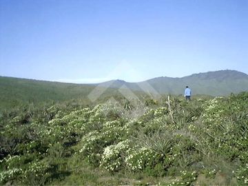 Sitio en Venta en Talinay