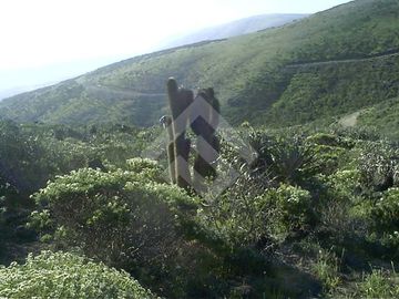 Sitio en Venta en Talinay