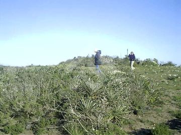 Sitio en Venta en Talinay