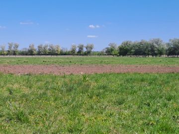 VENTA CAMPO DE 10 HECTAREAS Y CASA EN SPEGAZZINI