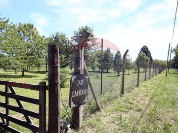 VENTA CAMPO DE 10 HECTAREAS Y CASA EN SPEGAZZINI