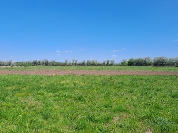 VENTA CAMPO DE 10 HECTAREAS Y CASA EN SPEGAZZINI