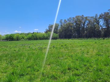 VENTA CAMPO DE 10 HECTAREAS Y CASA EN SPEGAZZINI