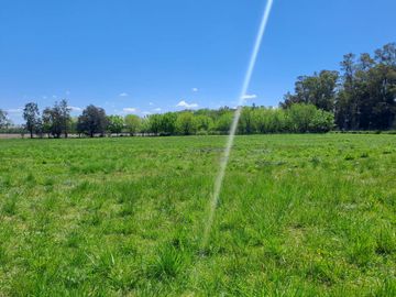 VENTA CAMPO DE 10 HECTAREAS Y CASA EN SPEGAZZINI