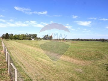 VENTA CAMPO DE 10 HECTAREAS Y CASA EN SPEGAZZINI