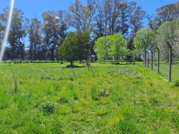 VENTA CAMPO DE 10 HECTAREAS Y CASA EN SPEGAZZINI