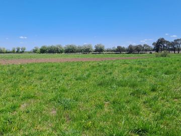 VENTA CAMPO DE 10 HECTAREAS Y CASA EN SPEGAZZINI