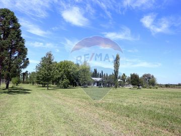 VENTA CAMPO DE 10 HECTAREAS Y CASA EN SPEGAZZINI
