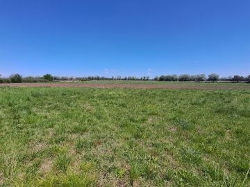VENTA CAMPO DE 10 HECTAREAS Y CASA EN SPEGAZZINI