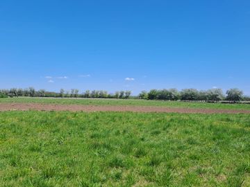 VENTA CAMPO DE 10 HECTAREAS Y CASA EN SPEGAZZINI