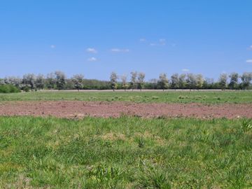 VENTA CAMPO DE 10 HECTAREAS Y CASA EN SPEGAZZINI