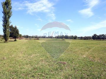 VENTA CAMPO DE 10 HECTAREAS Y CASA EN SPEGAZZINI