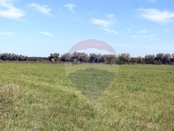 VENTA CAMPO DE 10 HECTAREAS Y CASA EN SPEGAZZINI
