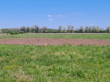 VENTA CAMPO DE 10 HECTAREAS Y CASA EN SPEGAZZINI