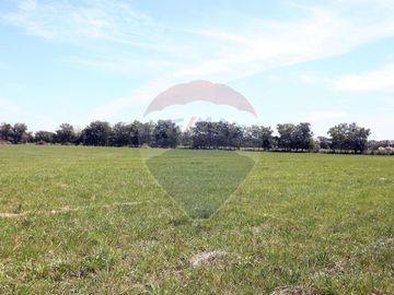 VENTA CAMPO DE 10 HECTAREAS Y CASA EN SPEGAZZINI