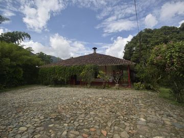 VENTA de FINCAS en AMAGA