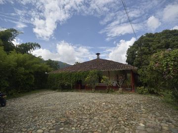 VENTA de FINCAS en AMAGA