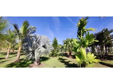 SEA CONFIABLE VENDE TERRENO CON CASA EN AGUADULCE