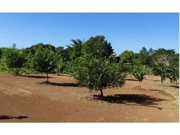 SEA CONFIABLE VENDE TERRENO CON CASA EN AGUADULCE