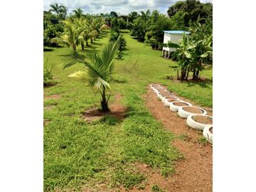 SEA CONFIABLE VENDE TERRENO CON CASA EN AGUADULCE
