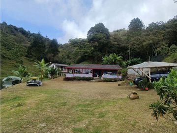 vendo finca el Santuario via a granada, agua, naturaleza. 5,5 HA