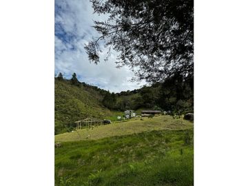 vendo finca el Santuario via a granada, agua, naturaleza. 5,5 HA