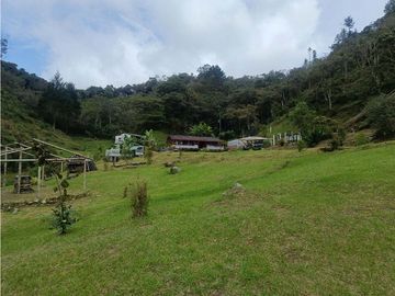 vendo finca el Santuario via a granada, agua, naturaleza. 5,5 HA