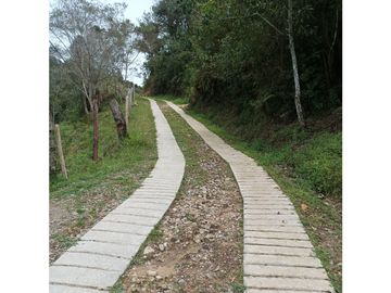 vendo finca el Santuario via a granada, agua, naturaleza. 5,5 HA