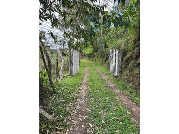 vendo finca el Santuario via a granada, agua, naturaleza. 5,5 HA