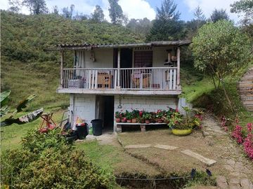 vendo finca el Santuario via a granada, agua, naturaleza. 5,5 HA